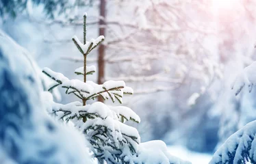 Zelfklevend Fotobehang Beautiful tree in winter landscape in the morning © candy1812