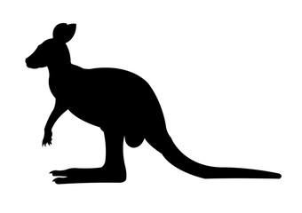 Kangaroo silhouette  vector illustration isolated