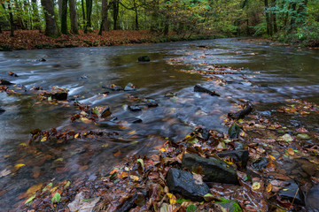 autumn, river in the forest