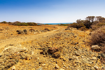 picturesque savannah with a road to the sea and green bushes with beautiful deep blue sky with clouds on background, desert landscape