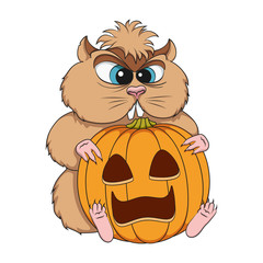 Angry hamster sits with a pumpkin. Isolated vector color object on a white background.