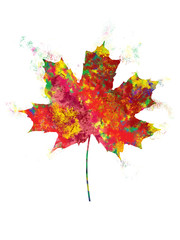 tree leaf painted in watercolor