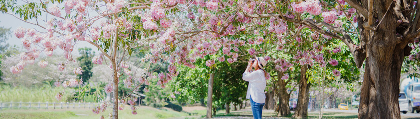 spring season with full bloom pink flower travel concept from beauty asian photographer woman enjoy...