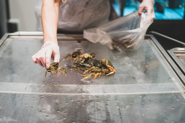 Live crayfish in the store. Selection, selection and sale of crayfish. Crustacean storage, trade.
