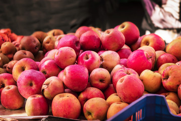 Red apple at the market, autumn harvest sale. Shallow depth of field