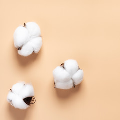 Dry cotton buds on a beige background, flat lay, minimal style.