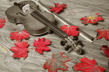 Violin with a bow and red maple leaves on a wooden texture