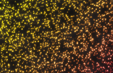 yellow colored hearts bokeh party lights