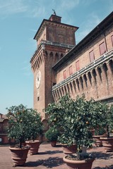 Several orange trees on the roof of castle in Ferrara