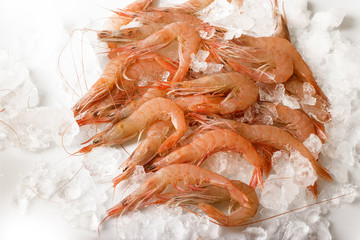 Gambas frescas a sobre un monton de hielo