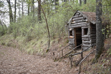 Cabaña de madera rodeada de vegetación en un bosque solitario