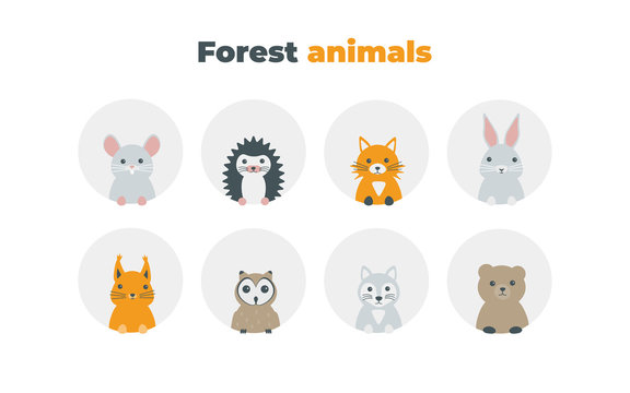 Forest animals set in flat style isolated on white background. Cute cartoon wild animals avatars collection: mouse, hedgehog, fox, hare, squirrel, owl, wolf, bear.
