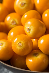 Raw Orange Organic Gooseberrries