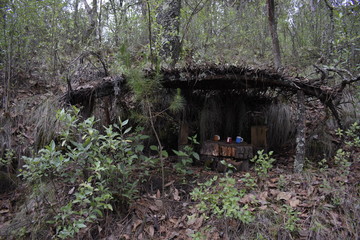Choza hecha de troncos y ramaje con mesa al centro, rodeada de vegetación en el bosque