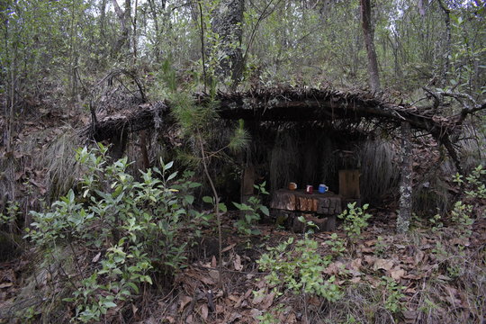 Choza hecha de troncos y ramaje con mesa al centro, rodeada de vegetaci&oacute;n en el bosque