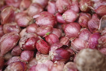 Viele rote kleine Zwiebeln auf einem Markt als Close up