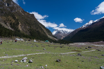 Fototapeta na wymiar Yumthang Valley,Sikkim,India