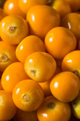 Raw Orange Organic Gooseberrries