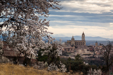 Almond blossom field, seasonal landscape photography. In Segovia, Castilla y Le&oacute;n, Spain. Cathedral in the background, cloudy sky