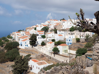 Obraz premium OLYMPUS DIGITAL CAMERA