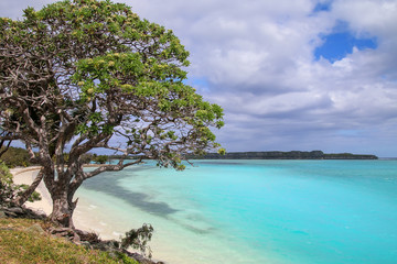 Fototapeta na wymiar Lekiny Bay on Ouvea Island, New Caledonia.