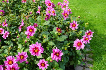 Fototapete bei efototapeten.de bestellen   