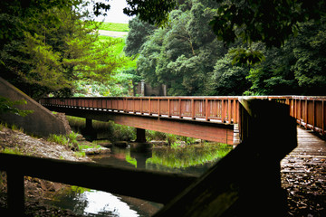 田舎の橋