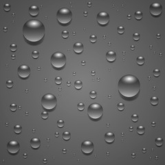 Dew drops isolated on grey background. Vector