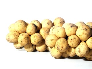 Wollongong on a white background