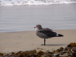 Chilling at the beach