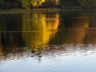 Autumn colour in the English countryside