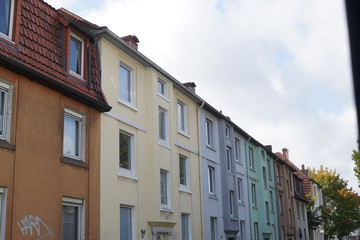 Naklejka premium Nordpark Bielefeld Dahlien