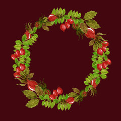 Round frame with watercolor rose hip berry and leaves.