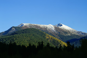 snow mountain in the autumn forest