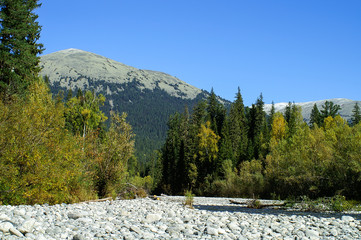 view from the rocky shore