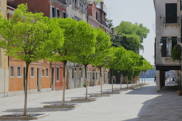 A row of small trees on a small street in the historical part of Venice