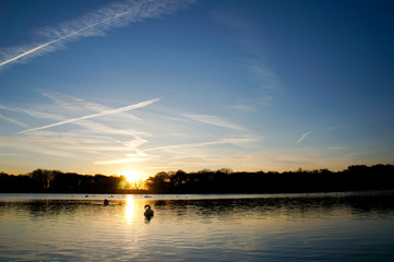 Fototapeta na wymiar LONDON, UK A dawn view of the Pen Ponds in Richmond Park as the sun rises behind them.