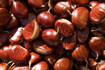 close up of brown fresh chestnuts in a basket during autumn harvest, whole fresh and seasonal food for a healthy diet