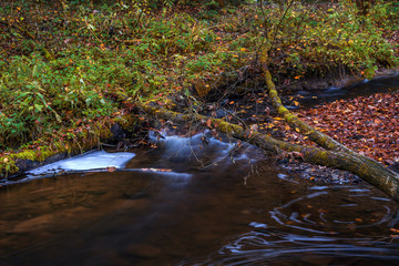 woods in autumn, river at long exposure