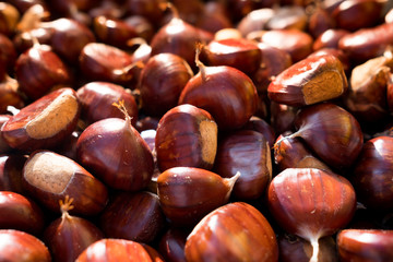 close up of brown ripe chestnuts in a basket during autumn harvest, with warm orange natural light