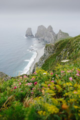 Cape of Four Rocks on a rainy summer  day. Green grass with yellow and pink flowers on foreground. Rocky coast on the shore of Japanese Sea in Primorsky Krai, Far East, Russia.
