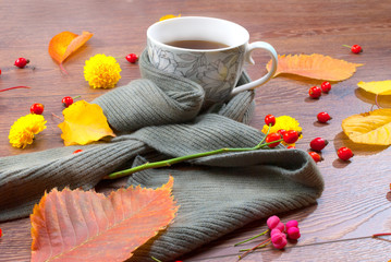 Autumn tea mug wrapped in a warm scarf