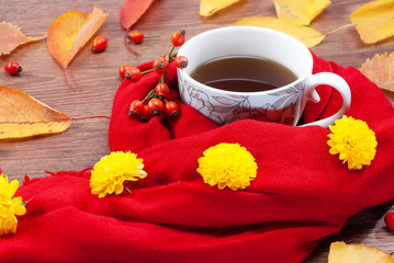 Autumn tea mug wrapped in a warm scarf