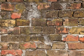 old brickwork with traces of fungus and rot