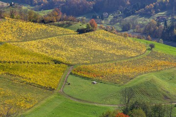 autumn landscape in Styria 04