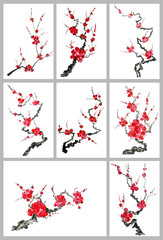 Set of sakura blossom branches. Pink and red stylized flowers of plum mei and  wild cherry . Watercolor and ink illustration of tree in style sumi-e, go-hua,  u-sin. Oriental traditional painting. 