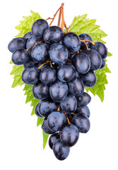 Ripe dark grapes with leaf on a white background