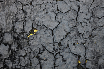 cracked street like earth texture, asphalt cracked like dessert