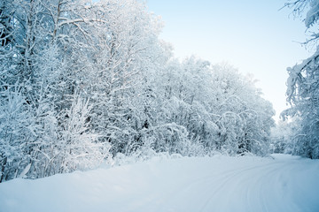 Beautiful fabulous winter landscape: the road going through the forest, everything is covered with snow.