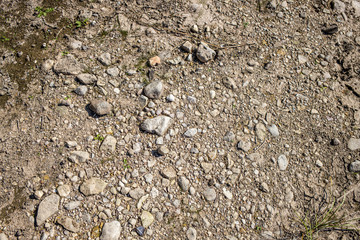 texture with pebble stones